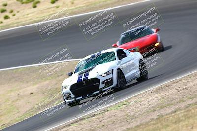 media/Oct-01-2023-VIP Trackdays (Sun) [[8c13cf1485]]/C Group/session 2 turn 2/